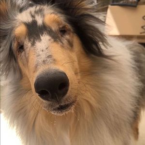 Meet your Posher, Nathan